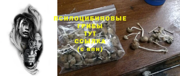 гидропоника Аркадак
