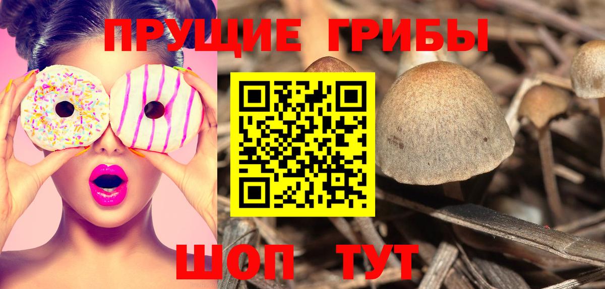 Галлюциногенные грибы ЛСД  Вход с VPN  Раменское 